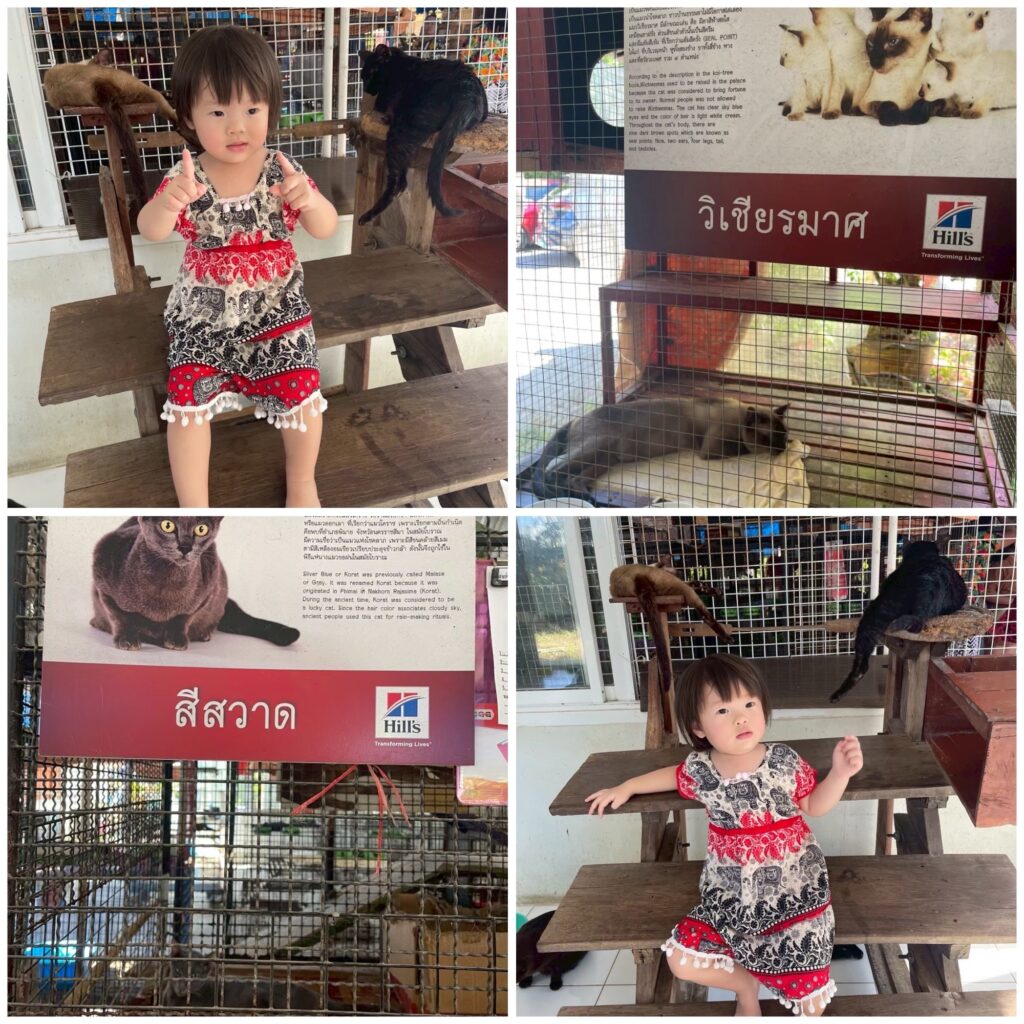 ที่ เที่ยวอัมพวา