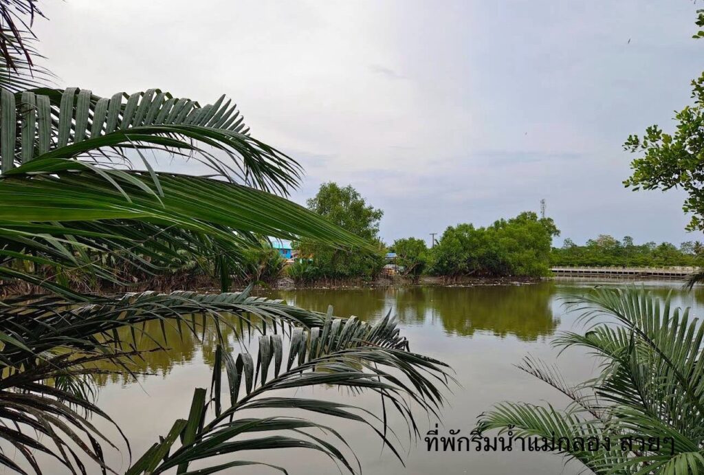 ที่พักแม่กลองใกล้ตลาดน้ำอัมพวา สวยๆ ติดริมน้ำ