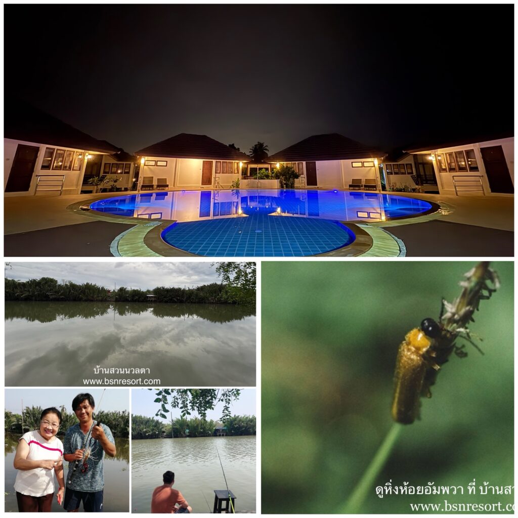 Fireflies watching at Baan Suan Nuanta Amphawa Thailand ​