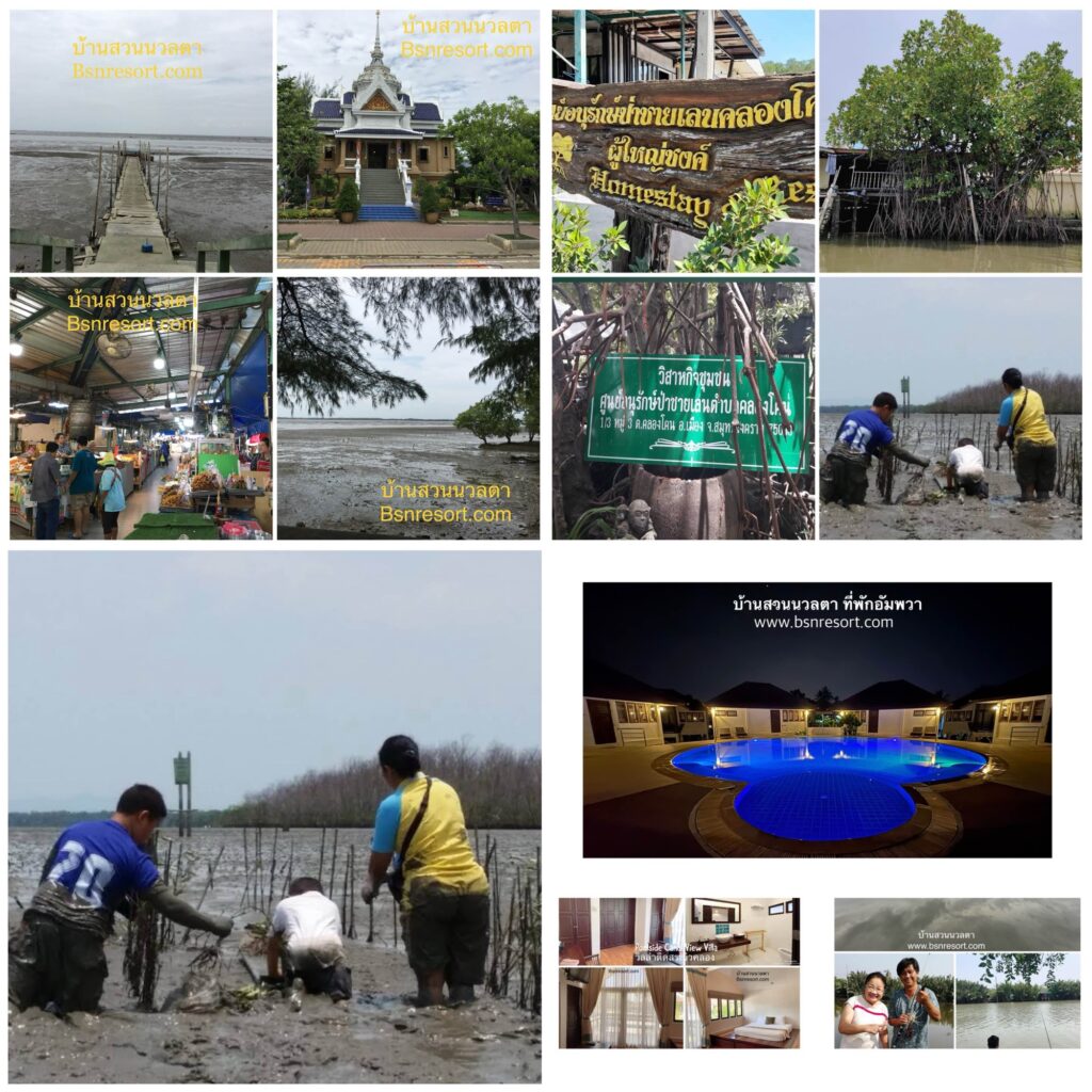 เที่ยวสมุทรสงคราม, ที่เที่ยวสมุทรสงคราม, เที่ยวสมุทรสงคราม วันธรรมดา, เที่ยวสมุทรสงคราม 2 วัน 1 คืน, เที่ยวอัมพวา, ที่เที่ยวอัมพวา