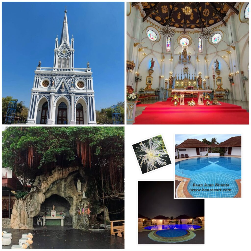 เที่ยวสมุทรสงคราม, ที่เที่ยวสมุทรสงคราม, เที่ยวสมุทรสงคราม วันธรรมดา, เที่ยวสมุทรสงคราม 2 วัน 1 คืน, เที่ยวอัมพวา, ที่เที่ยวอัมพวา